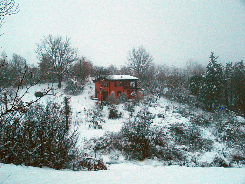 Oasi naturalistica del Carmine